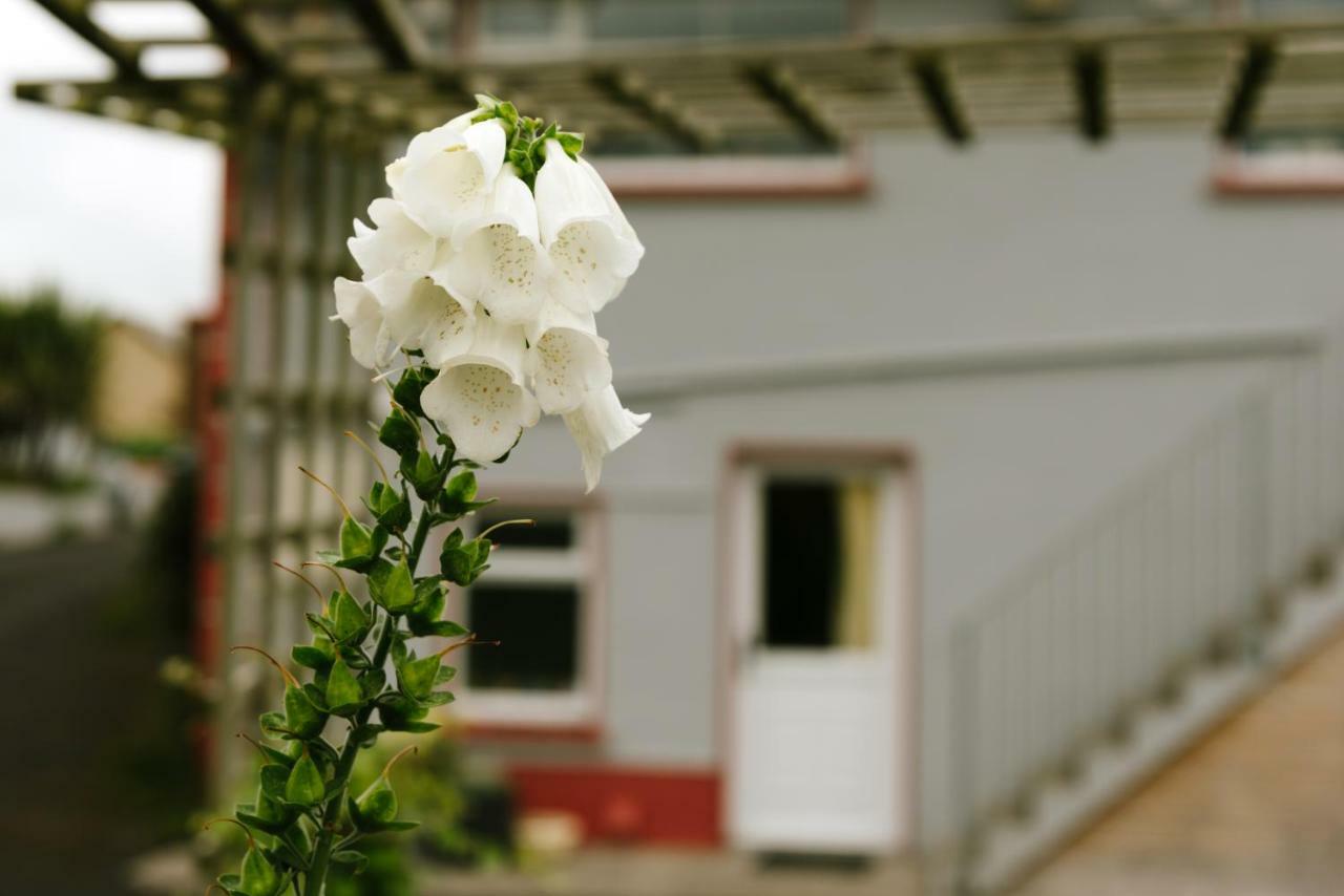 Eagle Heights Bed & Breakfast Enniscrone Ngoại thất bức ảnh